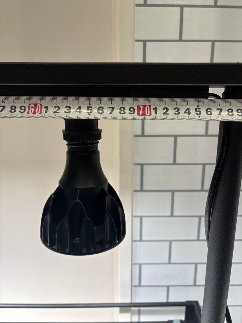 植物棚　アイアン棚　伸縮ライトレール　パキプス　アイアンシェルフ　アガベ