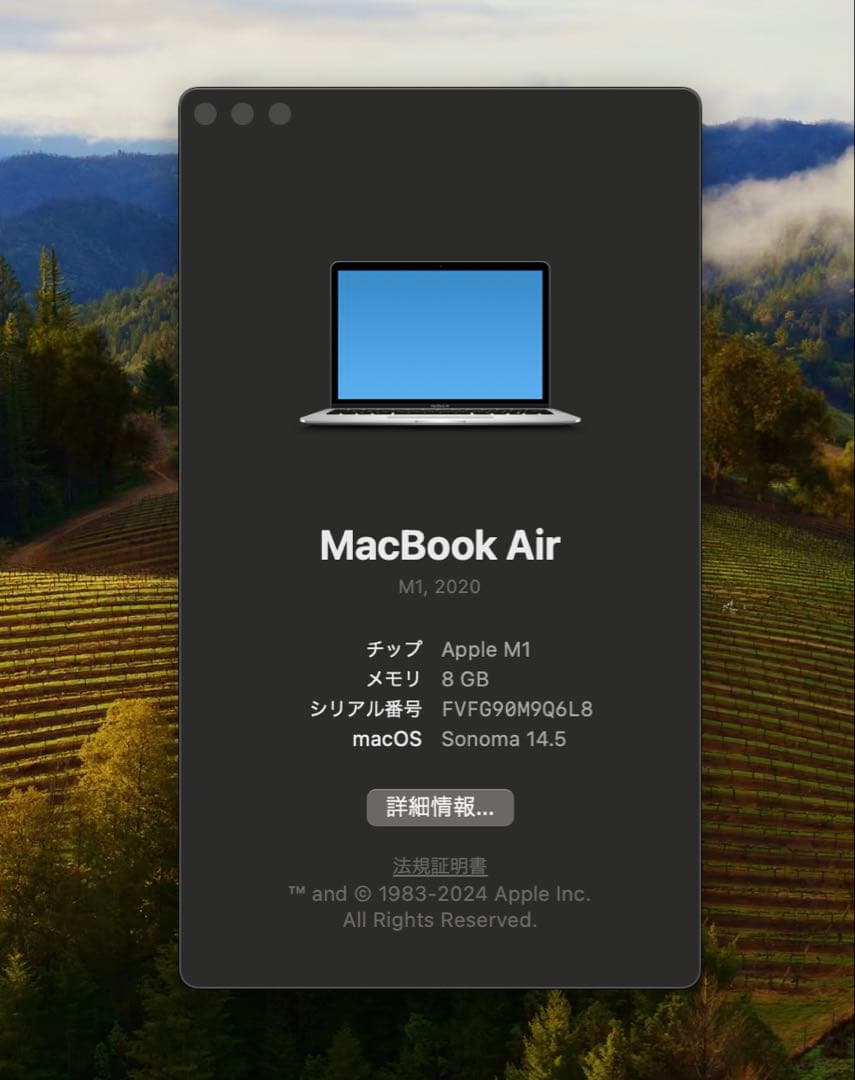 8GB SSD512GB 純正⭐︎充電器付きMacBook Air M1 2020