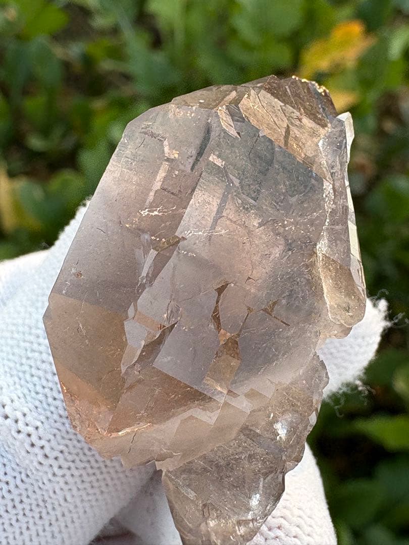 【匿名発送】パキスタン産スモーキーグインデル