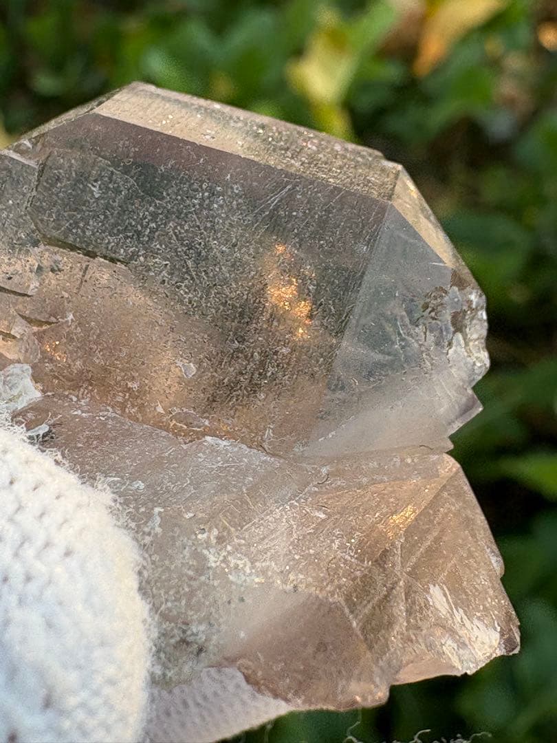 【匿名発送】パキスタン産スモーキーグインデル