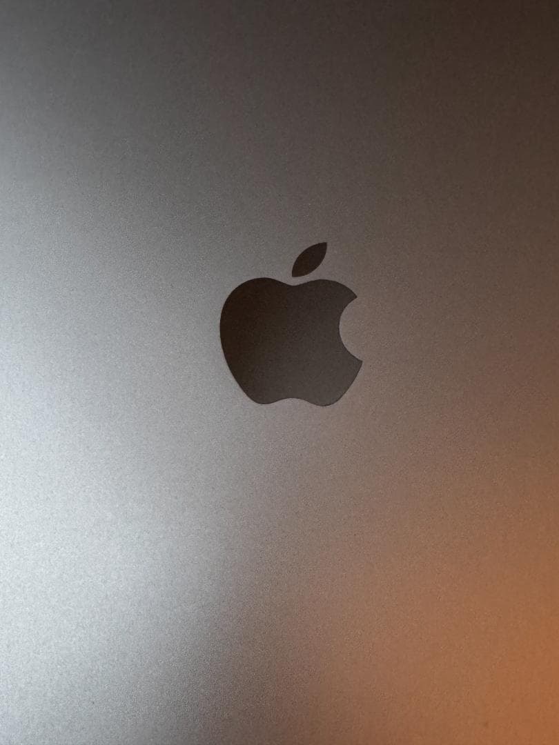 極美品 13インチiPad Pro M4 1TB Nano Texture