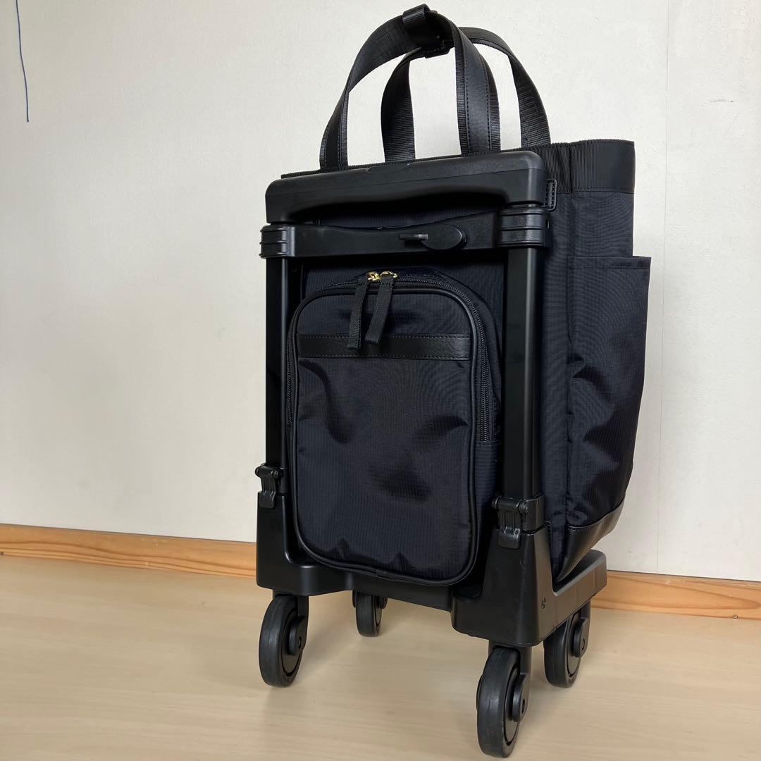 スワニー キャリーバッグ　ルバンド (M18)