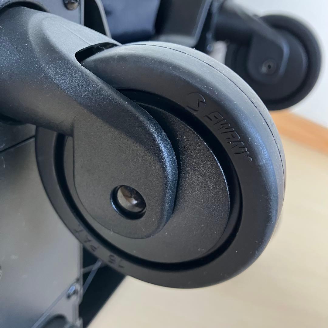 スワニー キャリーバッグ　ルバンド (M18)