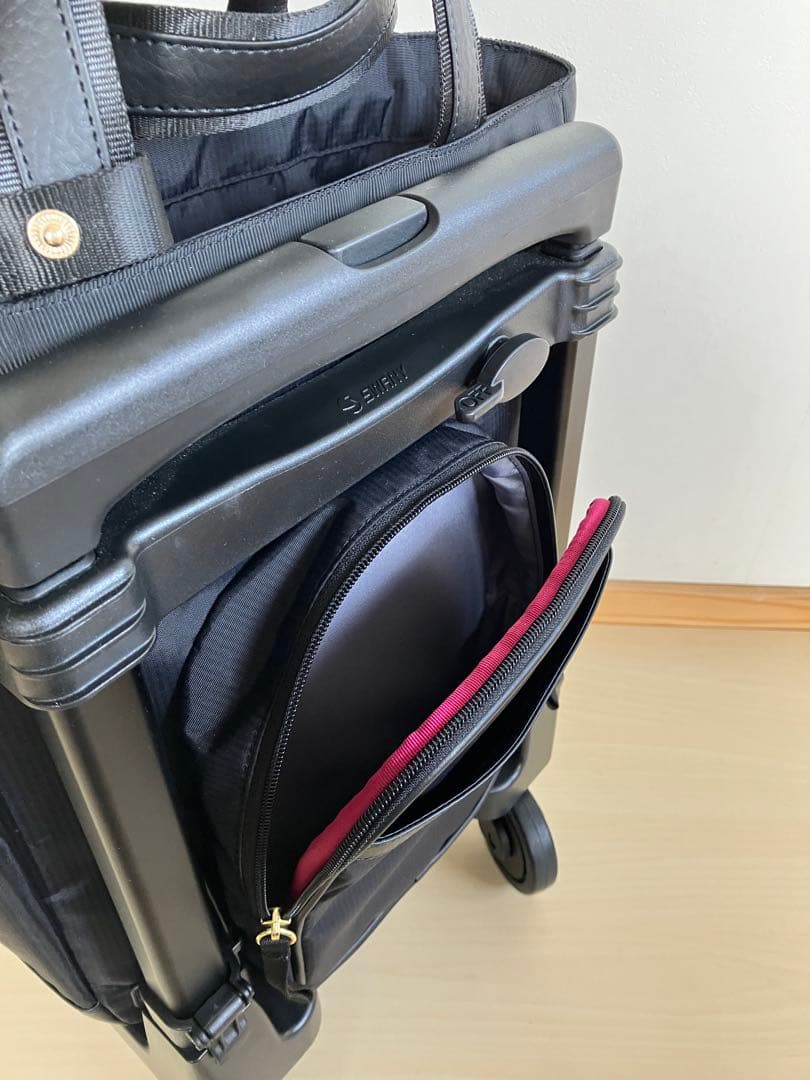 スワニー キャリーバッグ　ルバンド (M18)