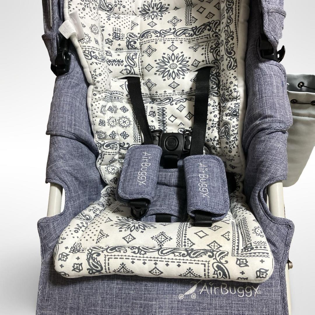 エアバギー AirBuggy COCO Brake EX ココブレーキEX