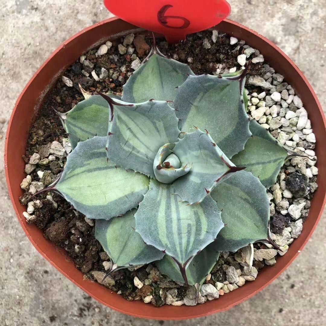 ご確認ください