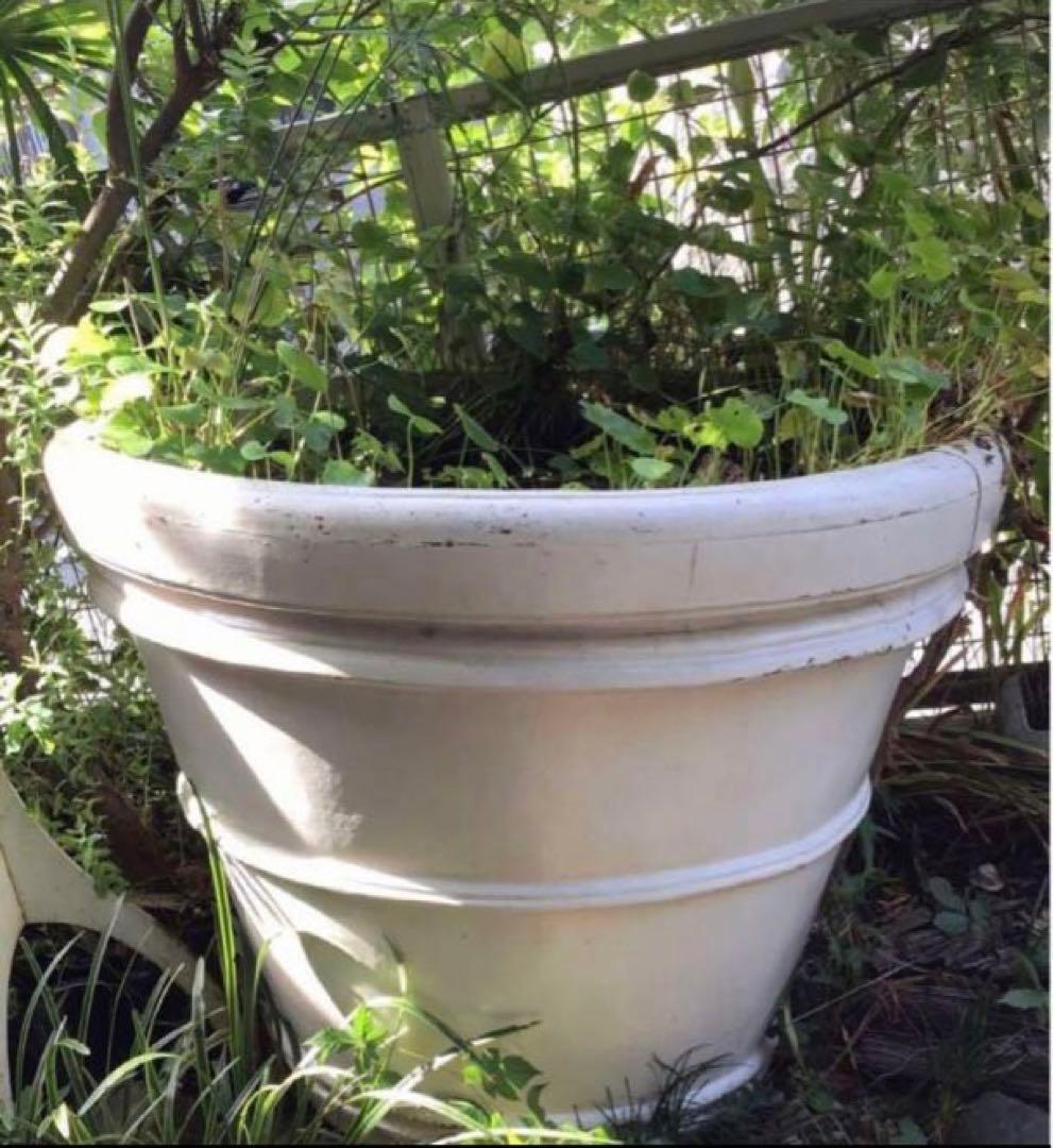 大きな植木鉢　特大