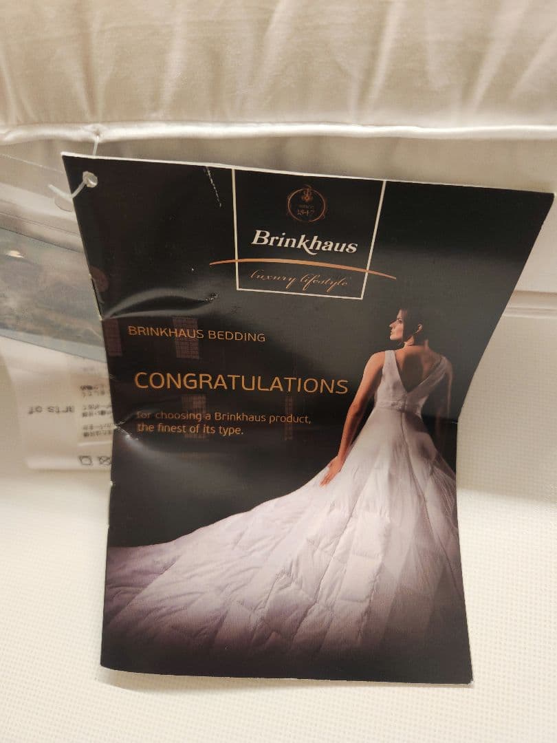 Brinkhaus ダウン/フェザー ピロー（イヴ ドローム購入） 【新品】