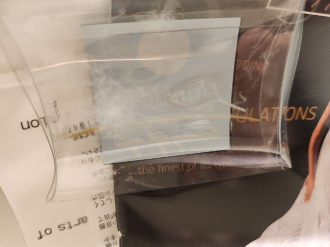 Brinkhaus ダウン/フェザー ピロー（イヴ ドローム購入） 【新品】