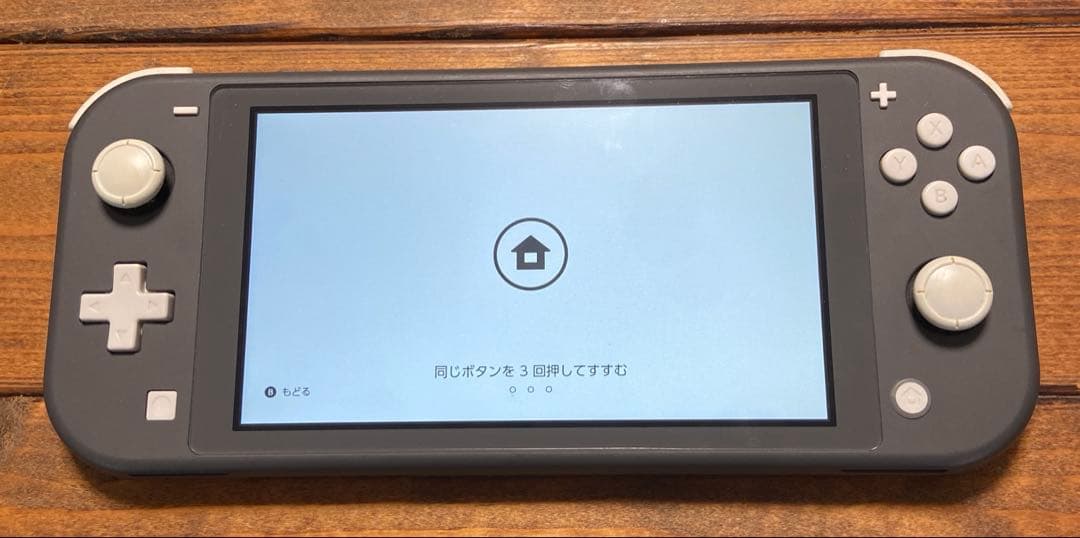 樹*里様 ニンテンドースイッチ　ライト