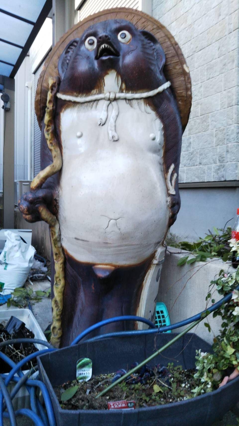 焼き物陶器の、たぬき