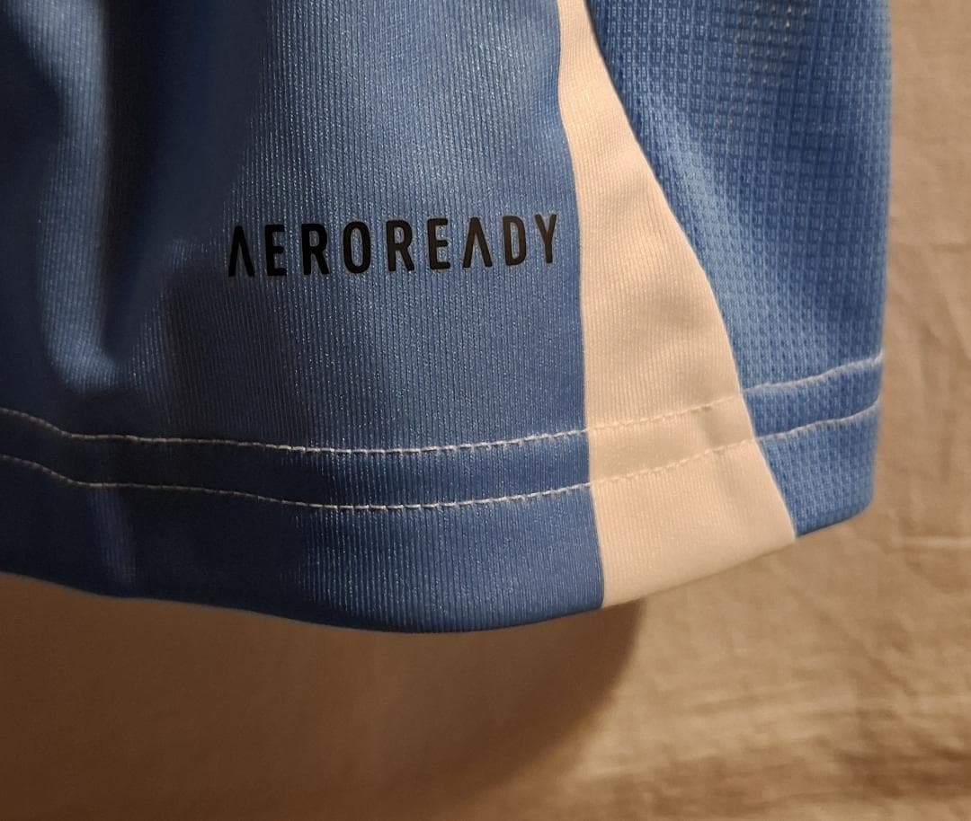 フ*ア様 アルゼンチン代表 2024 コパアメリカファイナル仕様 レプリカ 10