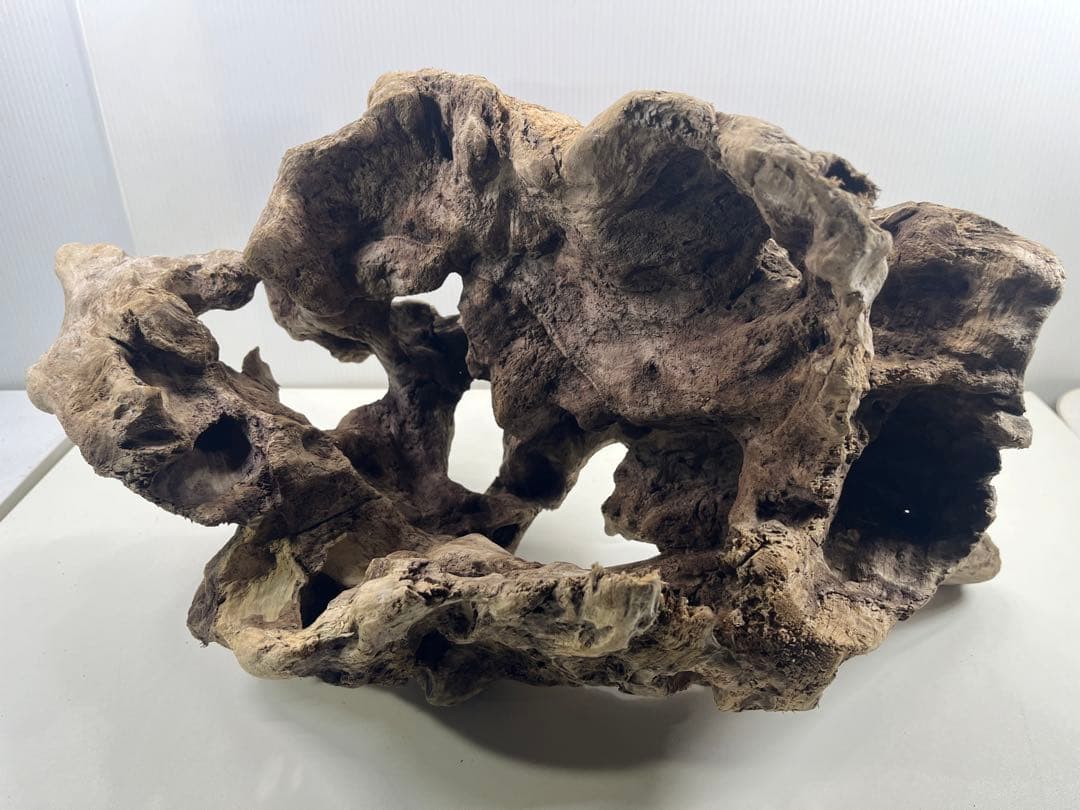 W30大型流木アク抜き済み流木 爬虫類シェルター 登り木 インテリア 生け花