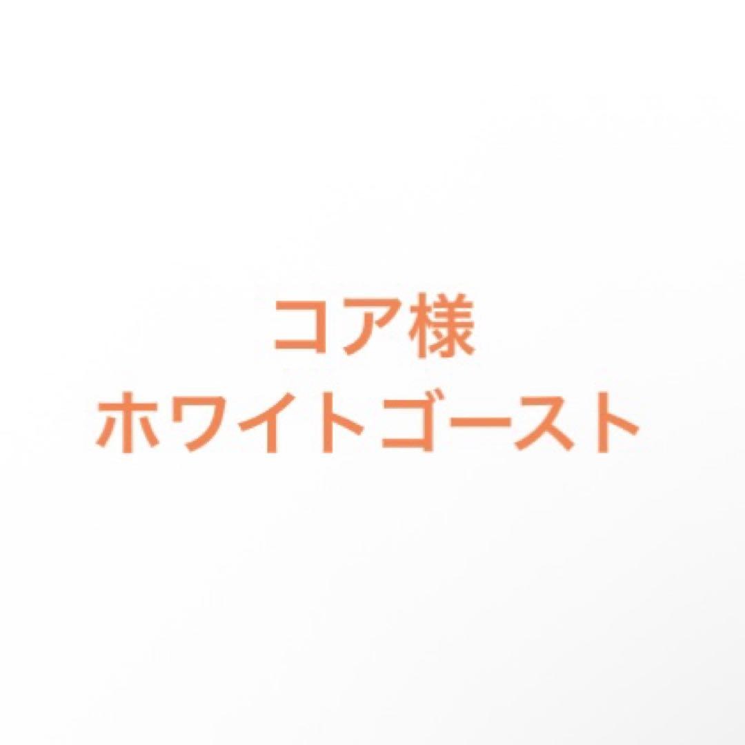 コア様リクエスト ホワイトゴースト40cm 20株