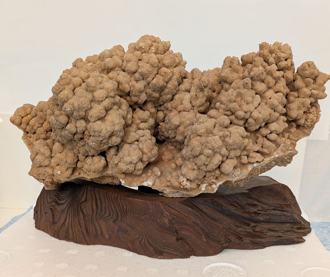 最終値下げ　希少　特大　鍾乳石　水石　　飾り石　レア物　入手困難　お買い得