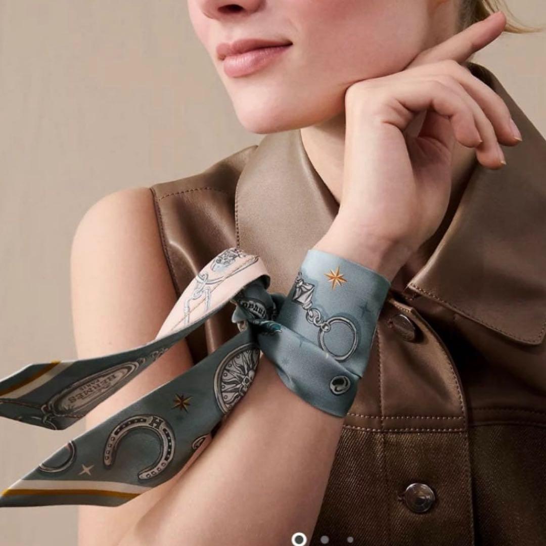 新品未使用　エルメス　ツイリー　セ・ラ・フェット