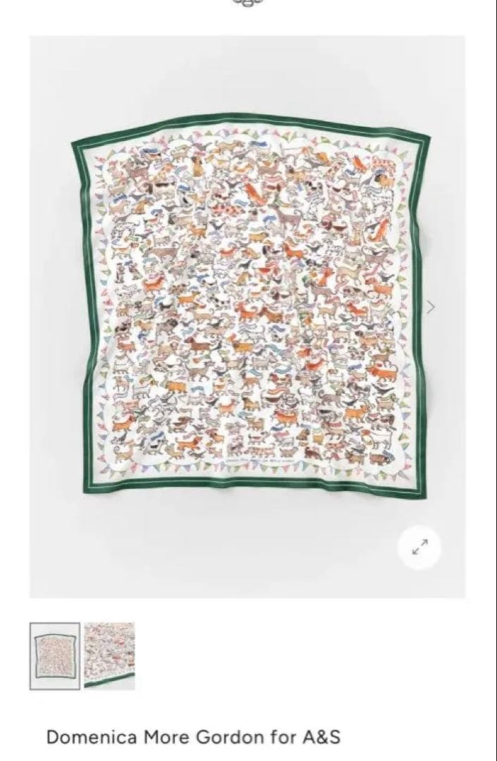 Domenica Gordon スカーフ arts&science