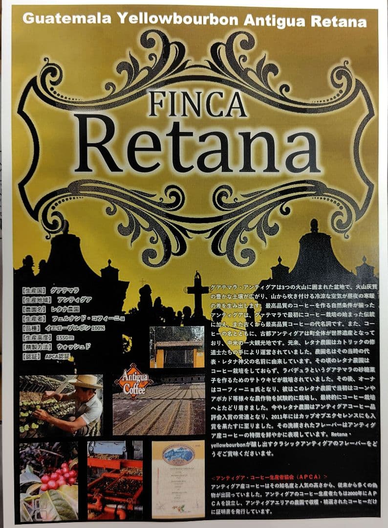 コーヒー生豆（グアテマラ·エチオピア） ２種セット