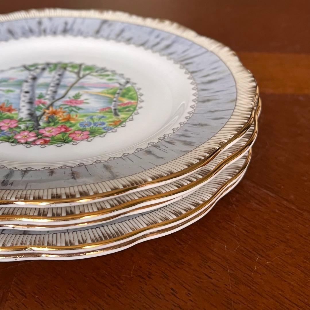 【英国ビンテージ】ロイヤルアルバート★シルバーバーチ★ケーキ皿　3枚
