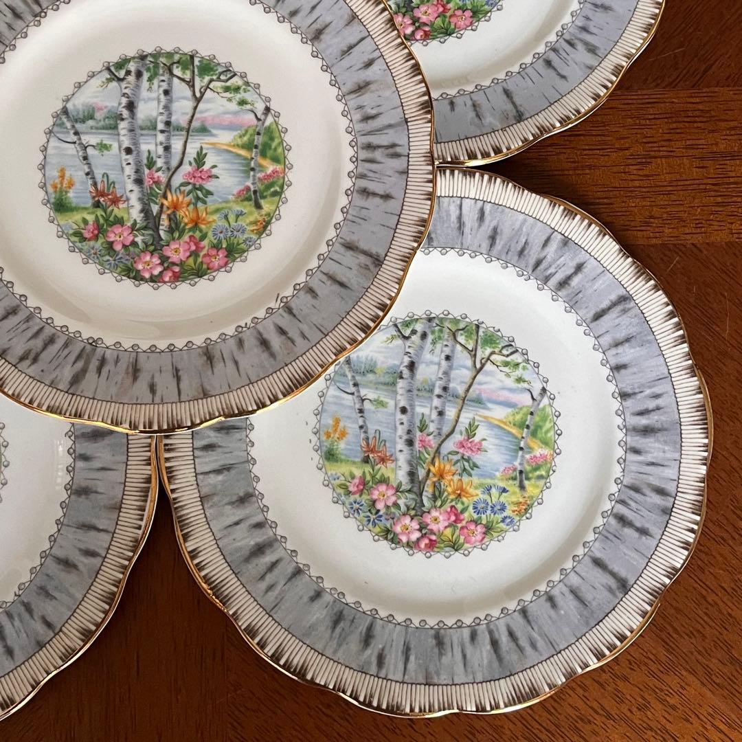 【英国ビンテージ】ロイヤルアルバート★シルバーバーチ★ケーキ皿　3枚