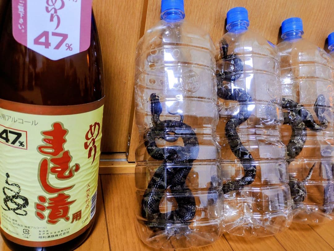 NPT！4匹セット！まむし酒　マムシ酒