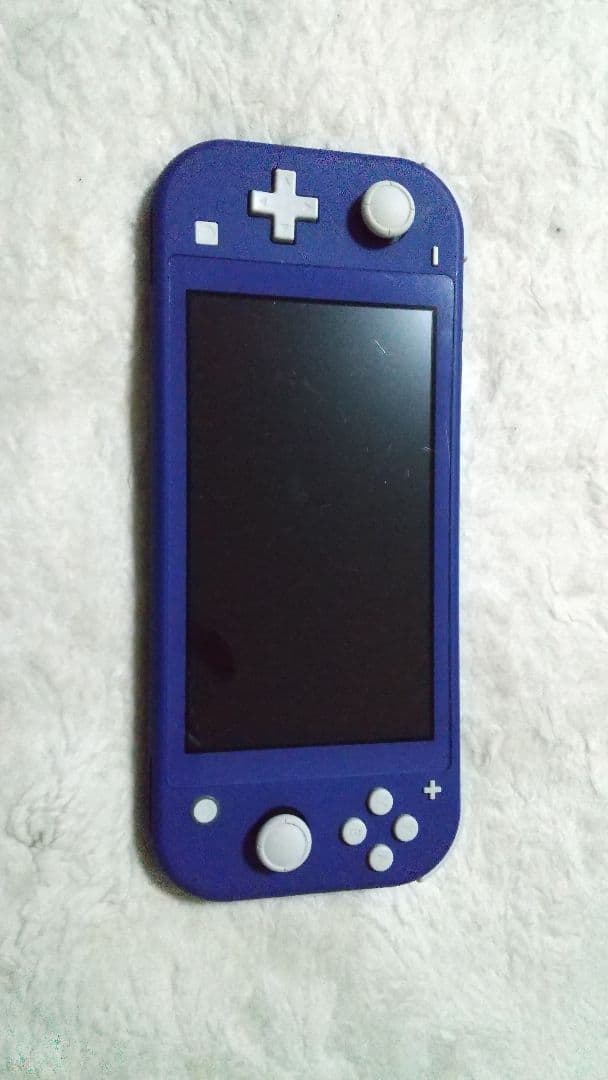 ジャンク 通電 Nintendo Switch Lite ブルー 本体