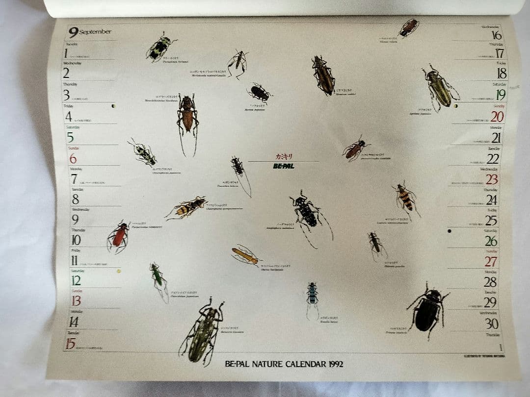 BE-PAL ビーパル カレンダー 新品未使用 1992年 ヴィンテージ