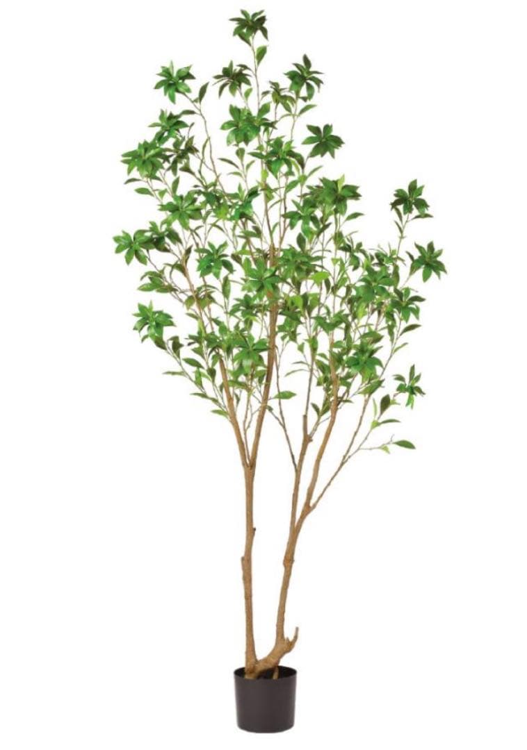 光触媒　人工観葉植物　ウォールグリーン　フェイクグリーン　アセビ215gg