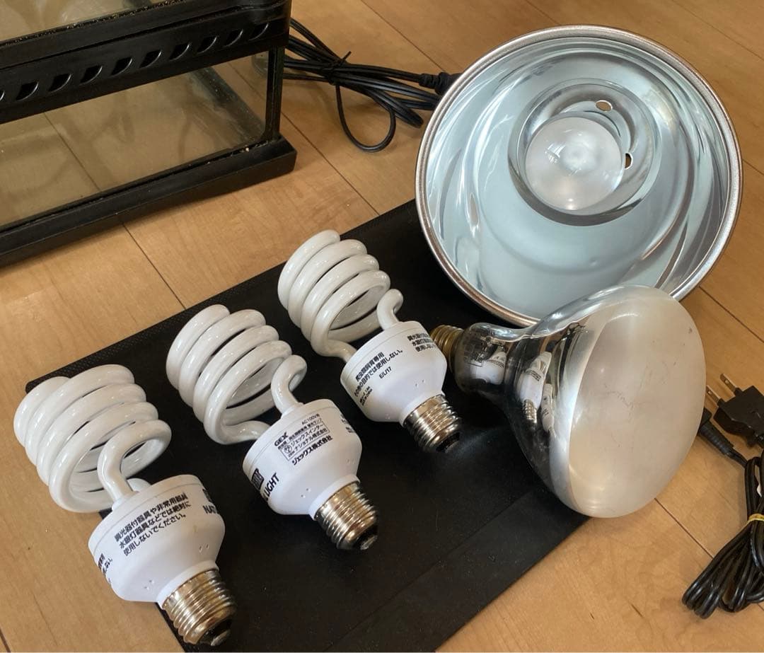 ★ペント様★ 飼育セット　飼育スターターキット