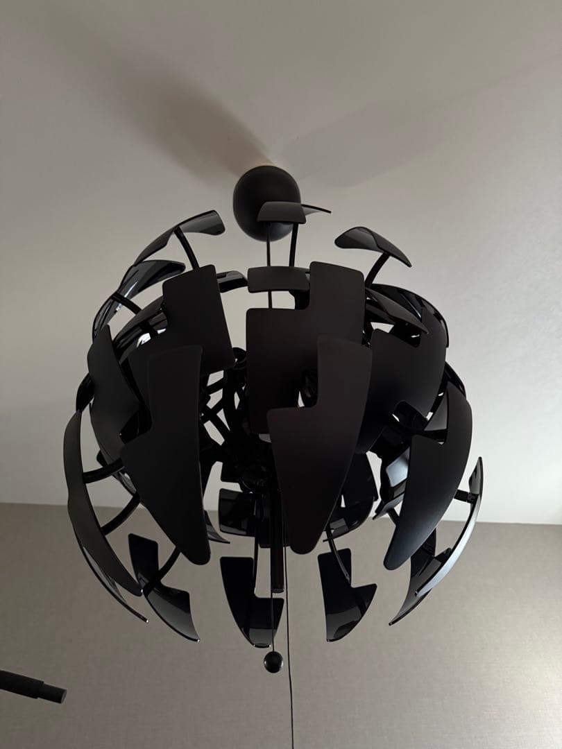 ブラックシーリングライト モダンデザイン