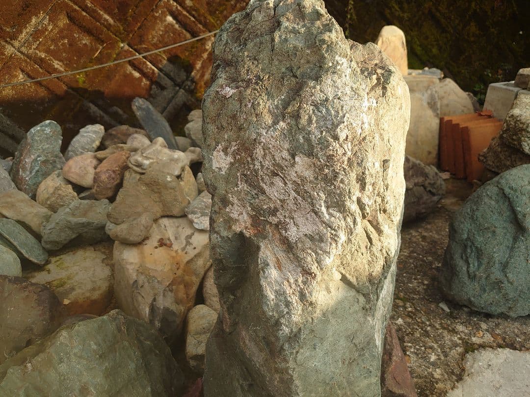 青石 庭石 約200kg 日本庭園 坪庭 庭園 鑑賞石 造園