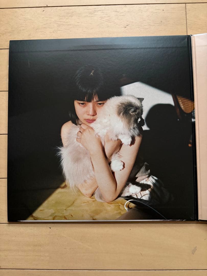レコード カネコアヤノ『燦々』LP（重量盤）