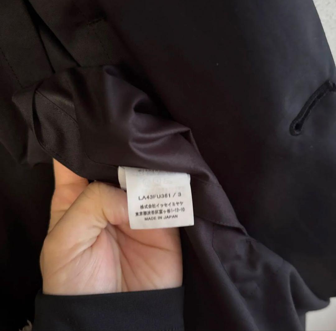 ミヤケイッセイ SWING