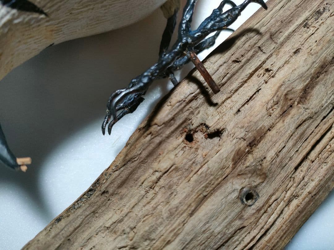 アカゲラ　バードカービング