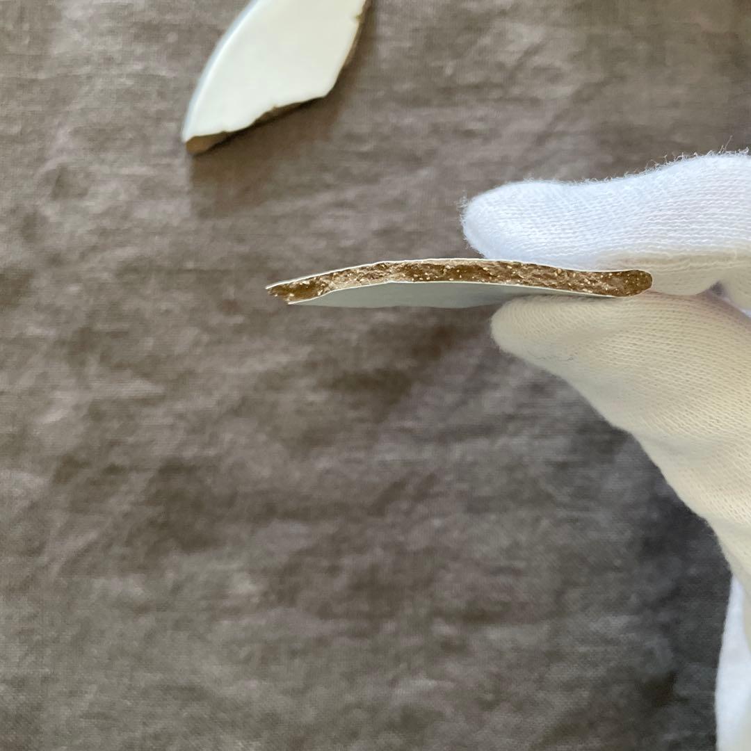 【金継ぎ用】アスティエ・ド・ヴィラット Sobre 22cm オーバルプレート