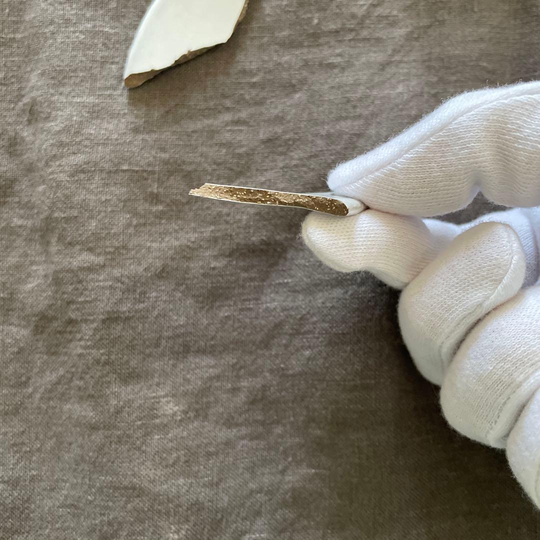 【金継ぎ用】アスティエ・ド・ヴィラット Sobre 22cm オーバルプレート