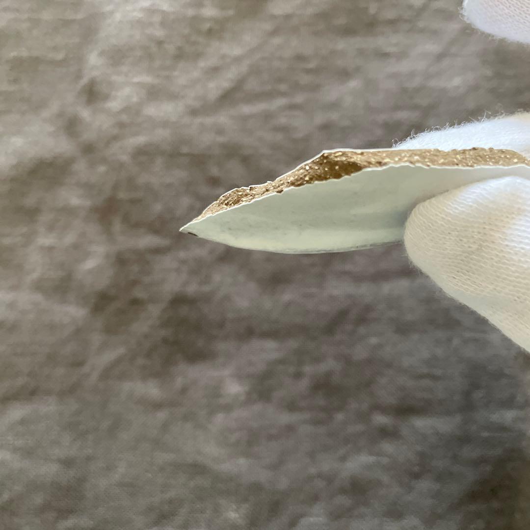 【金継ぎ用】アスティエ・ド・ヴィラット Sobre 22cm オーバルプレート