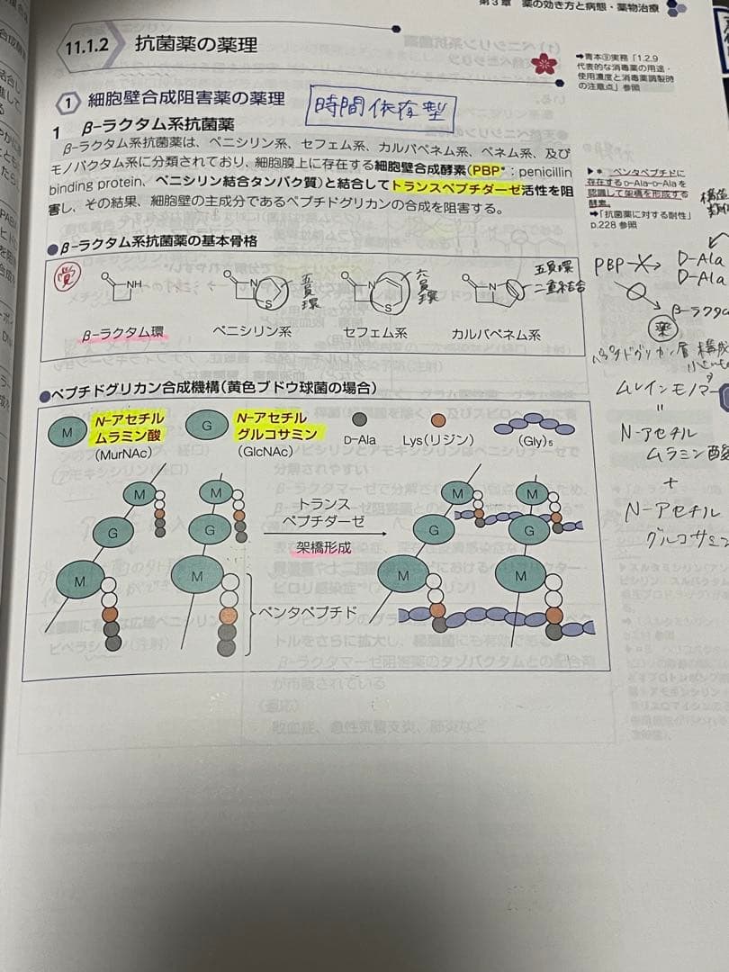 【りょう】薬剤師国家試験対策参考書・問題集　110回用
