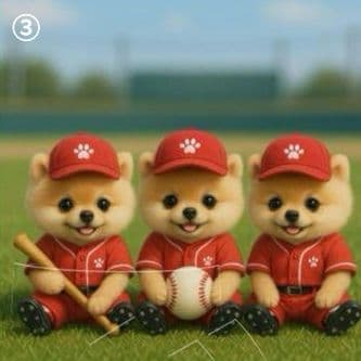 ハンドメイド　オーダー受付ページ　　♡お仕事　ポメラニアン　パネル♡