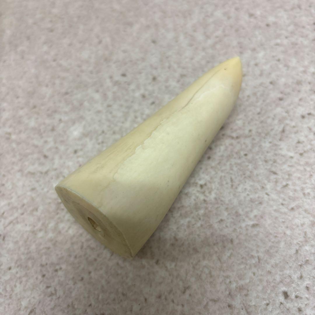 鯨歯 約9.5cm 約133g