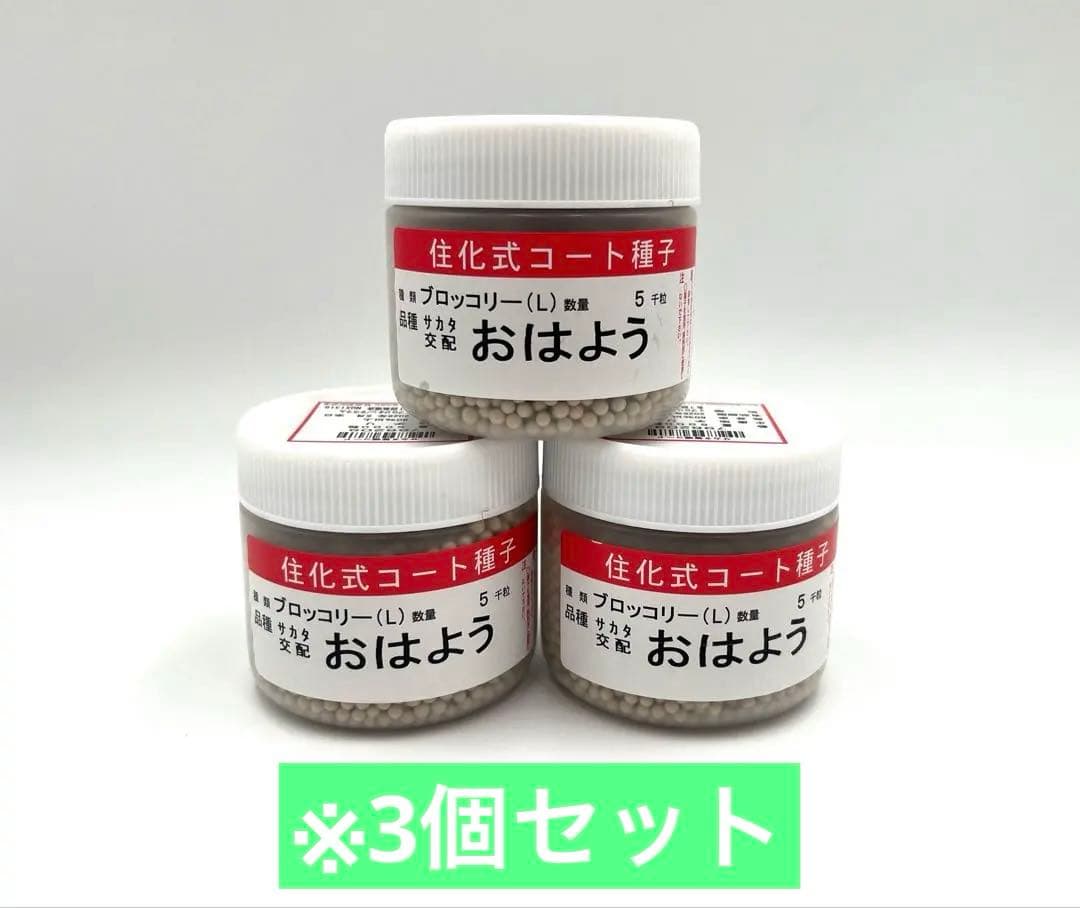 【お年玉価格】値下げ！ブロッコリー種子（おはよう）5000粒3個セット