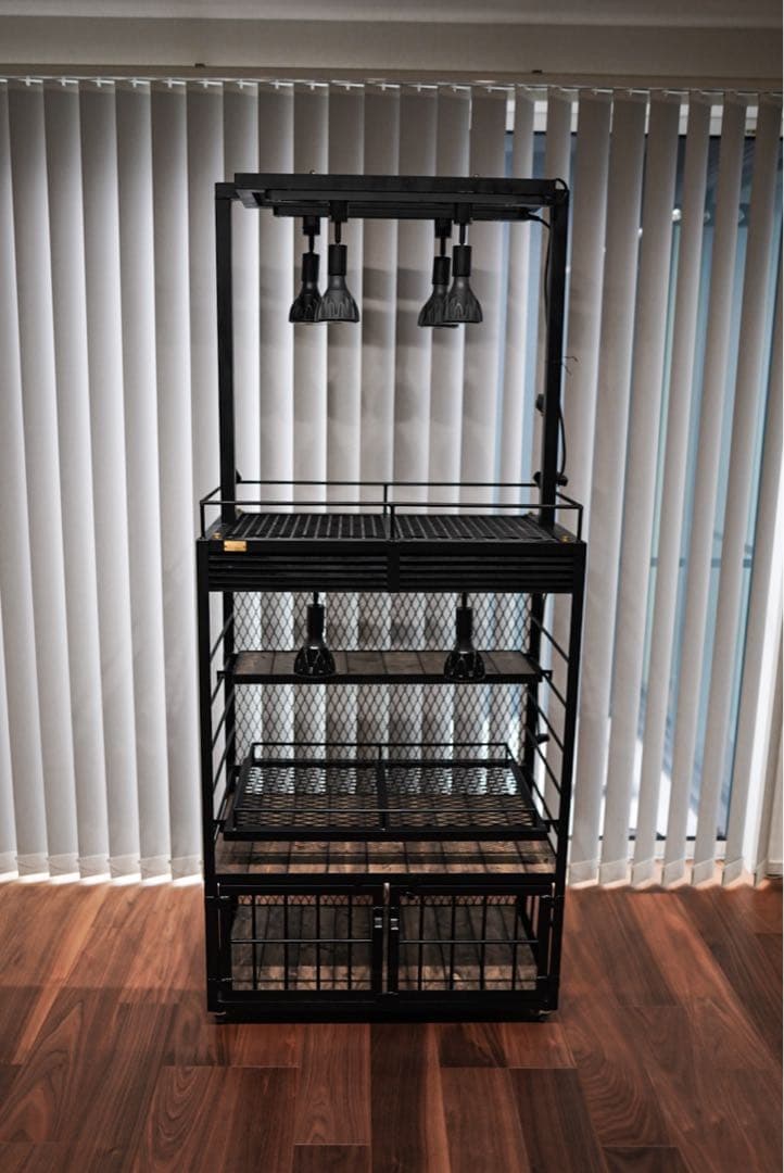 植物棚　アガベ　塊根植物