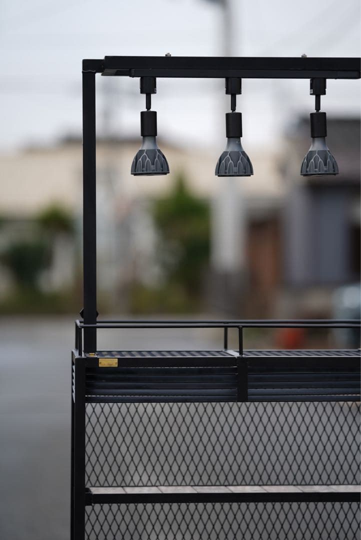 植物棚　アガベ　塊根植物