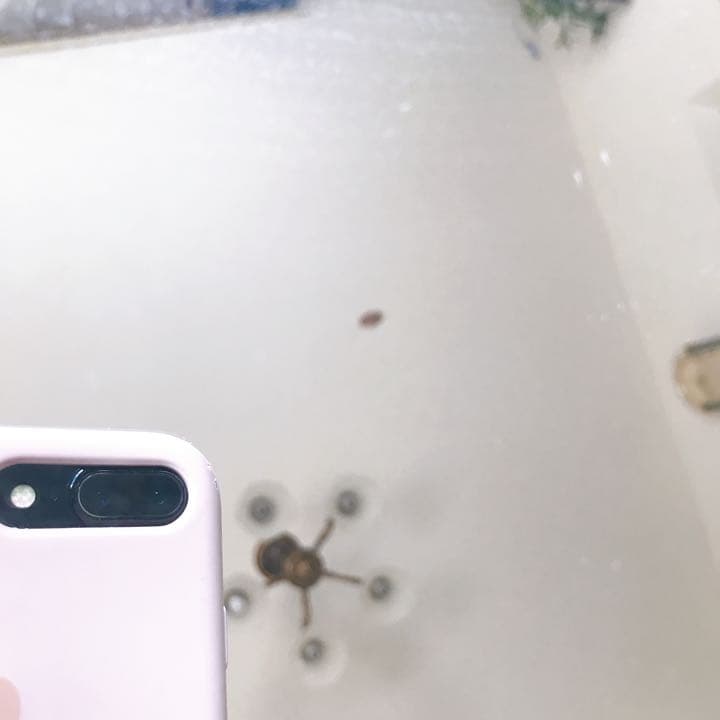 壁掛け式　鏡　木製　アンティーク　レトロ　鶴モチーフ