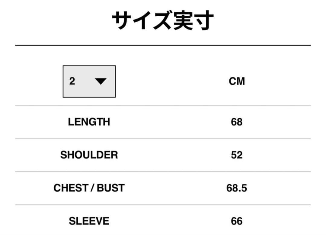 sacai カーハートWIP Nylon Twill Duck Blouson
