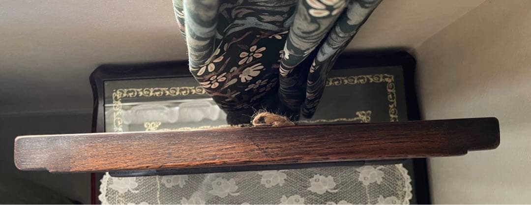 木製　ウォールミラー