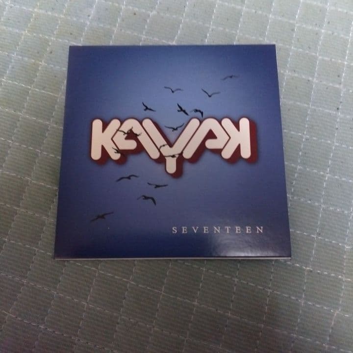 f*s様 KAYAK/ Journey Through Time 21CD BO