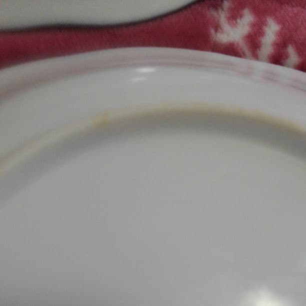 確認用です　カレー皿