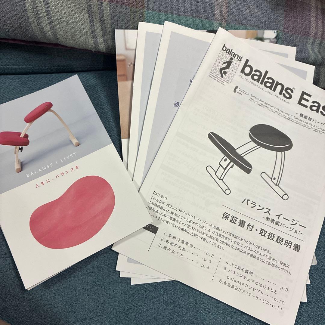 balans Easy バランスラボ ラクに姿勢を矯正できる椅子 水色