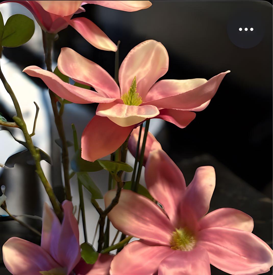 光触媒　観葉植物　フェイクグリーン　マジカルウォーター　マグノリア7644